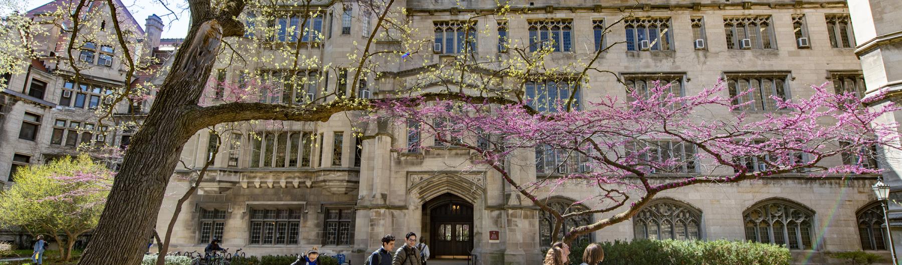 University of Chicago campus in Spring