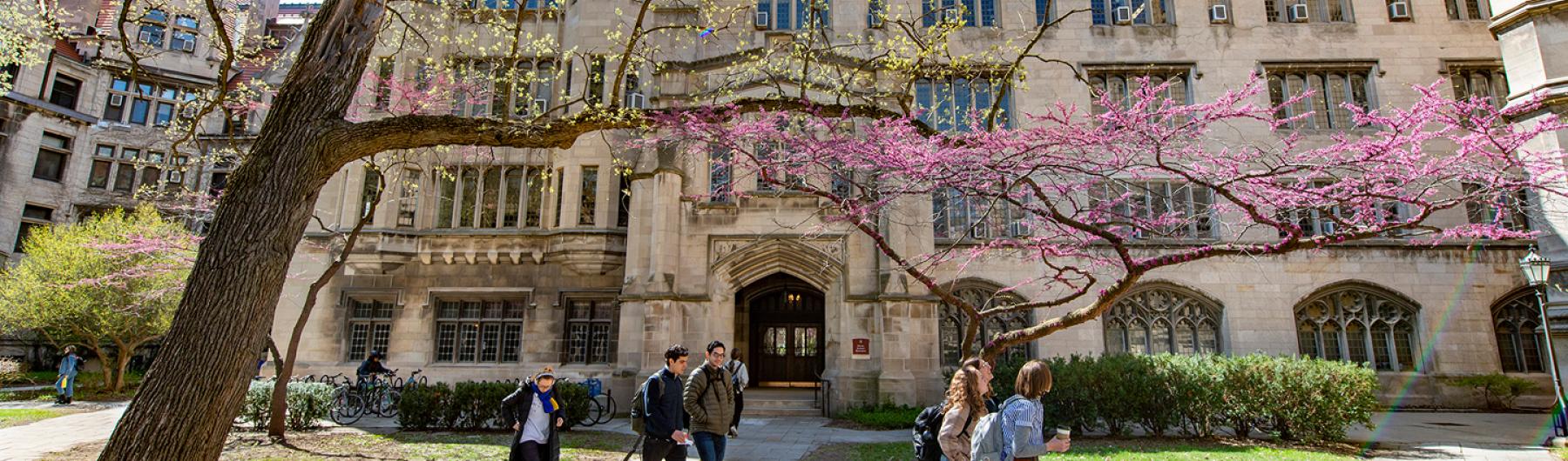 University of Chicago campus in Spring