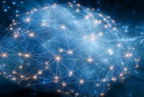 Graphic depiction of a brain.